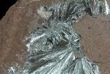 Metallic, Pyrolusite Crystals - Morocco #61130-4